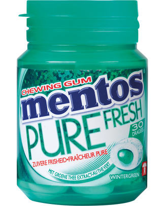 MENTOS GUM PURE WINTERGREEN BOTTLE30st (6 doosjes)